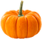 Pumpkin.Orange - PNG gratuit GIF animé