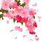 Y.A.M._Summer Flowers Decor - Gratis geanimeerde GIF geanimeerde GIF