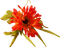 flowers - gratis png animerad GIF