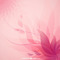 pink background - PNG gratuit GIF animé