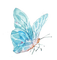 Papillon.Aquarelle.Butterfly.Blue.Victoriabea - PNG gratuit GIF animé