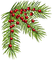 fir branch - безплатен png анимиран GIF