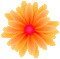 orange flower deco