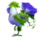 Coq en pétunia - Free PNG Animated GIF
