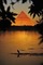 Egypt pyramid bp - PNG gratuit GIF animé