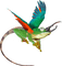 green moss dragon froggy - ücretsiz png animasyonlu GIF