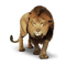 lion bp - PNG gratuit GIF animé
