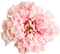 Kaz_Creations Deco Flowers Flower  Colours - zdarma png animovaný GIF