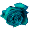 Ladybird - Blue rose - бесплатно png анимированный гифка