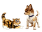 Salomelinda chat et chien ! - gratis png geanimeerde GIF