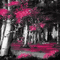 soave background animated forest gothic black - Bezmaksas animēts GIF animēts GIF