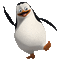 PINGOUIN - GIF animado grátis Gif Animado