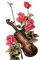 violin bp - Free PNG Animated GIF