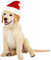 Kaz_Creations Animals Dog Pup Christmas - zdarma png animovaný GIF