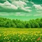 Green Field o' Buttercups - ingyenes png animált GIF