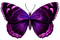 Butterfly  Violet Blue - Bogusia - PNG gratuit GIF animé