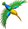 oiseau - безплатен png анимиран GIF
