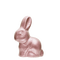 Easter Bunny - gratis png geanimeerde GIF