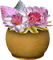 Kaz_Creations Deco Flowers Flower Colours Plant Vase - gratis png geanimeerde GIF