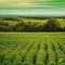 Green Fields and Sky Background - png grátis Gif Animado