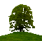 tree - 免费动画 GIF 动画 GIF