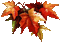 autumn automne herbst - 無料のアニメーション GIF アニメーションGIF