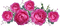 rose rose.Cheyenne63 - gratis png geanimeerde GIF