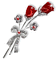 des roses rouges - Бесплатный анимированный гифка анимированный гифка