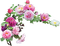 Fleurs - δωρεάν png κινούμενο GIF