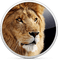 Kaz_Creations Animals Lion - gratis png animeret GIF