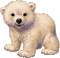 icebear animal winter hiver gif - Darmowy animowany GIF animowany gif