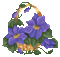 Purple Flowers in Basket - Free animated GIF Animated GIF