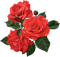 All My Roses - ingyenes png animált GIF