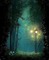 Paysage.Landscape.Forest.Night.Nuit.Victoriabea - 免费PNG 动画 GIF