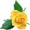 Tournesol94 fleur - Free PNG Animated GIF