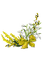 Spring Bouquet - безплатен png анимиран GIF