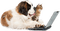 Kaz_Creations Dog Cat Kitten Laptop - gratis png geanimeerde GIF