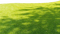 Gras - 免费PNG 动画 GIF