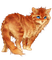 red hair cat - PNG gratuit GIF animé