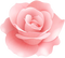 pink rose deco - PNG gratuit GIF animé