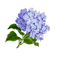 spring Bb2 - Free PNG Animated GIF