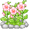 Pink Roses - GIF animé gratuit GIF animé