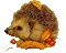 Hedgehog Autumn Gif - Bogusia - GIF animé gratuit GIF animé