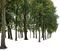 Wald - безплатен png анимиран GIF