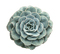 cactus sunshine3 - безплатен png анимиран GIF