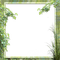 cadre vert frame green tree