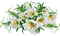 kukka, flower, fleur - kostenlos png Animiertes GIF