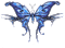 blue butterfly - GIF animate gratis GIF animata