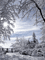 snowy - Δωρεάν κινούμενο GIF