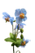flower - png gratuito GIF animata